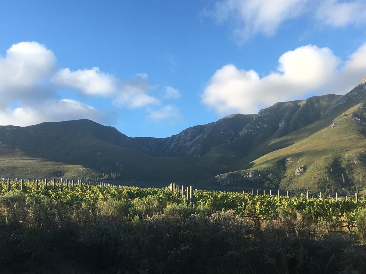Misty Mountains Villa Hermanus Exterior photo