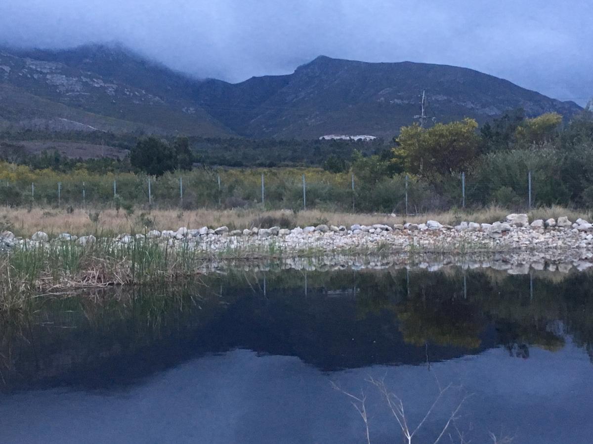 Misty Mountains Villa Hermanus Exterior photo